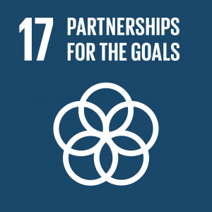 Theglobalgoals Icons Color Goal 17